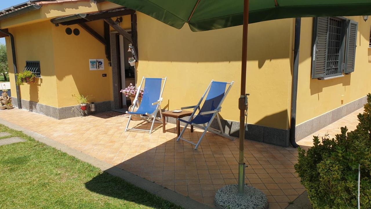 L'Antico Vigneto Marino Exterior foto