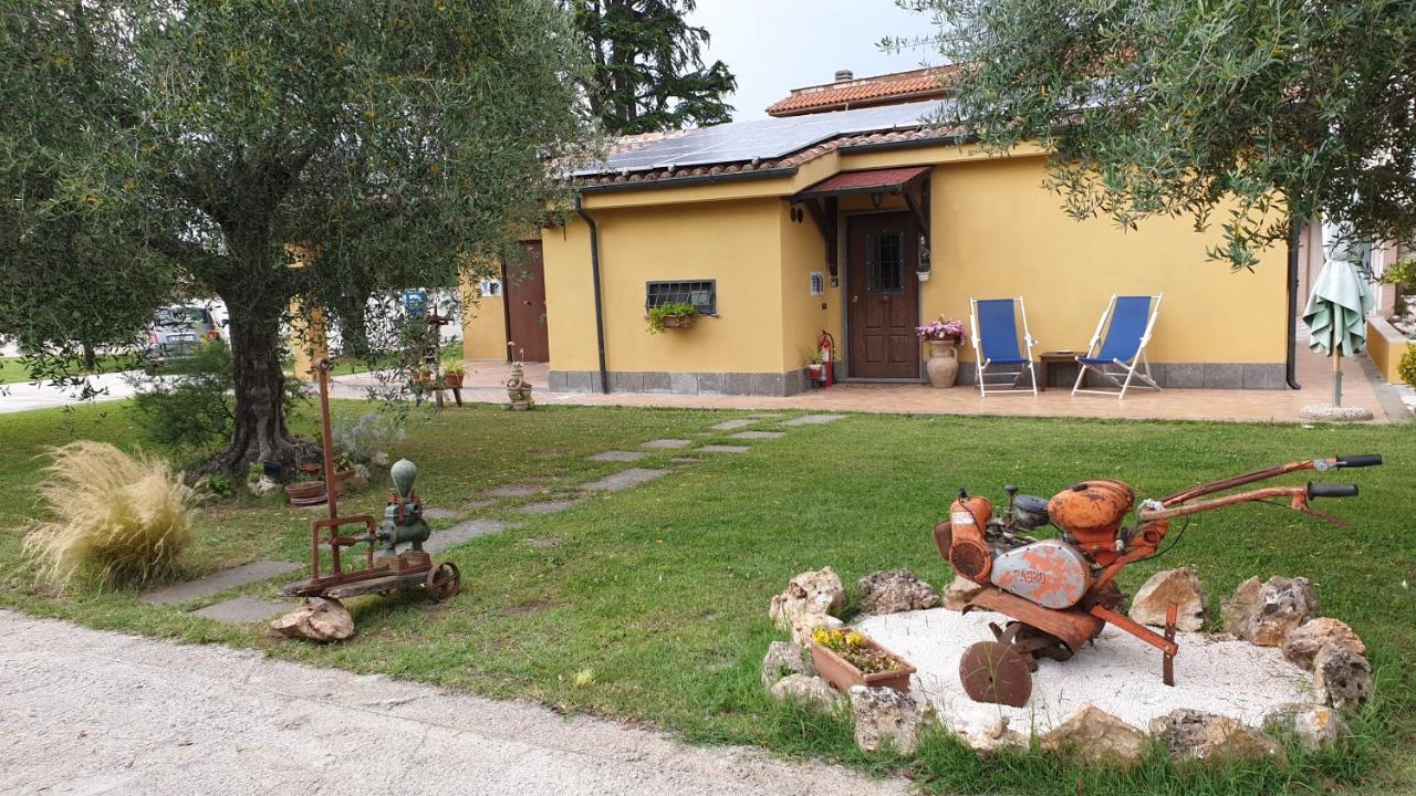 L'Antico Vigneto Marino Exterior foto
