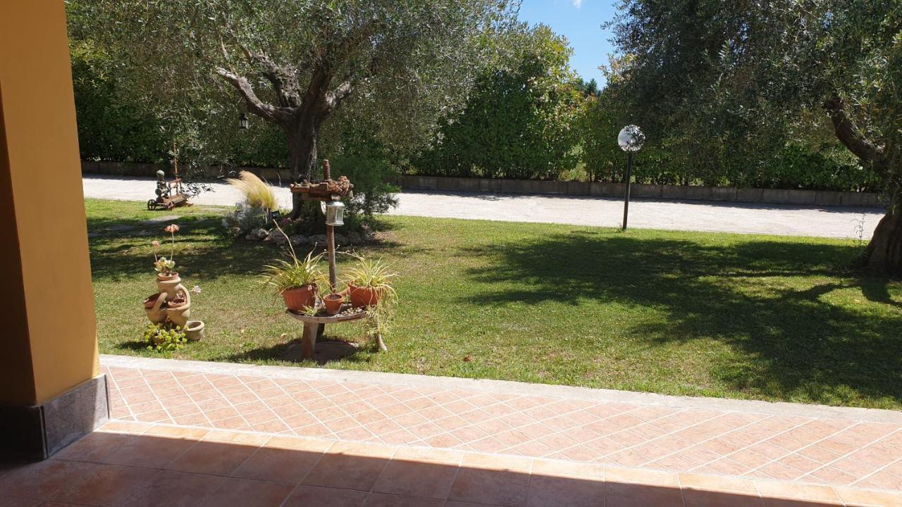 L'Antico Vigneto Marino Exterior foto