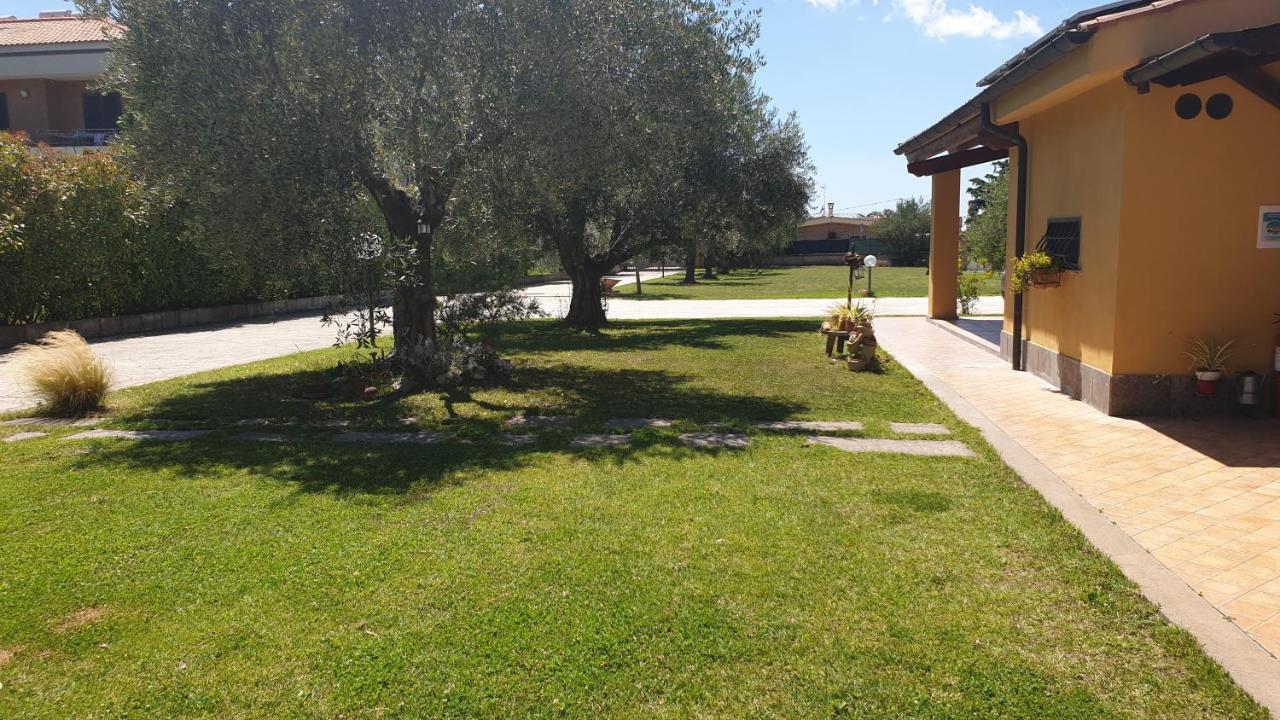 L'Antico Vigneto Marino Exterior foto