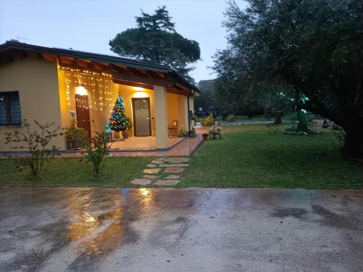 L'Antico Vigneto Marino Exterior foto