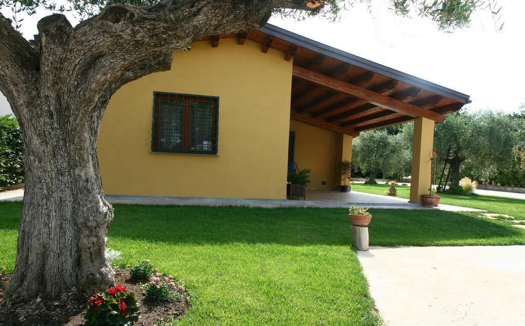 L'Antico Vigneto Marino Exterior foto