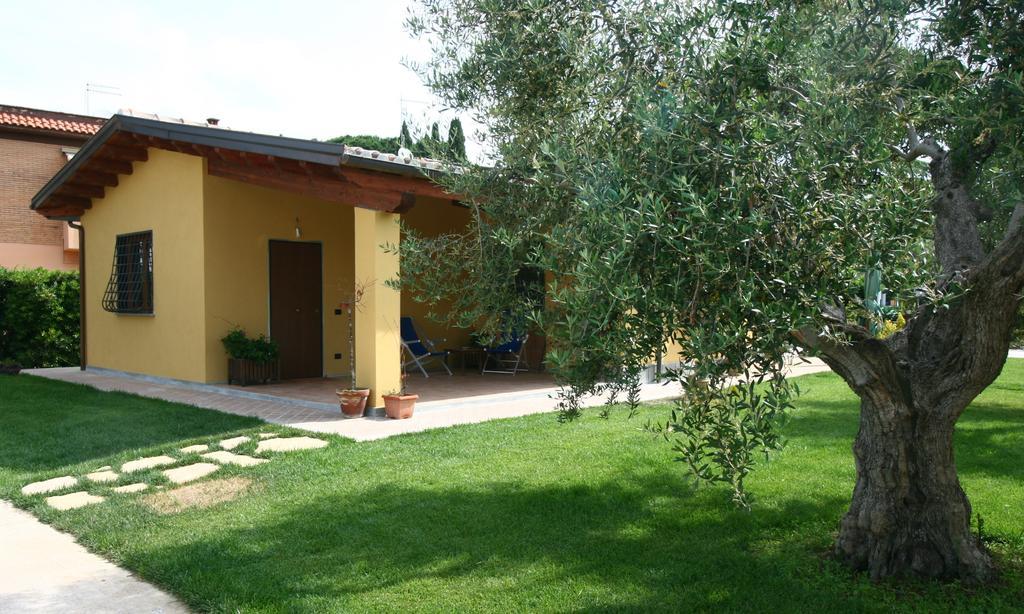 L'Antico Vigneto Marino Exterior foto