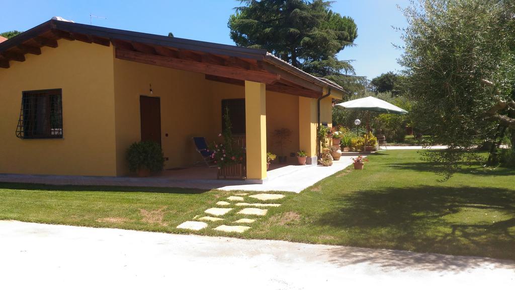 L'Antico Vigneto Marino Exterior foto