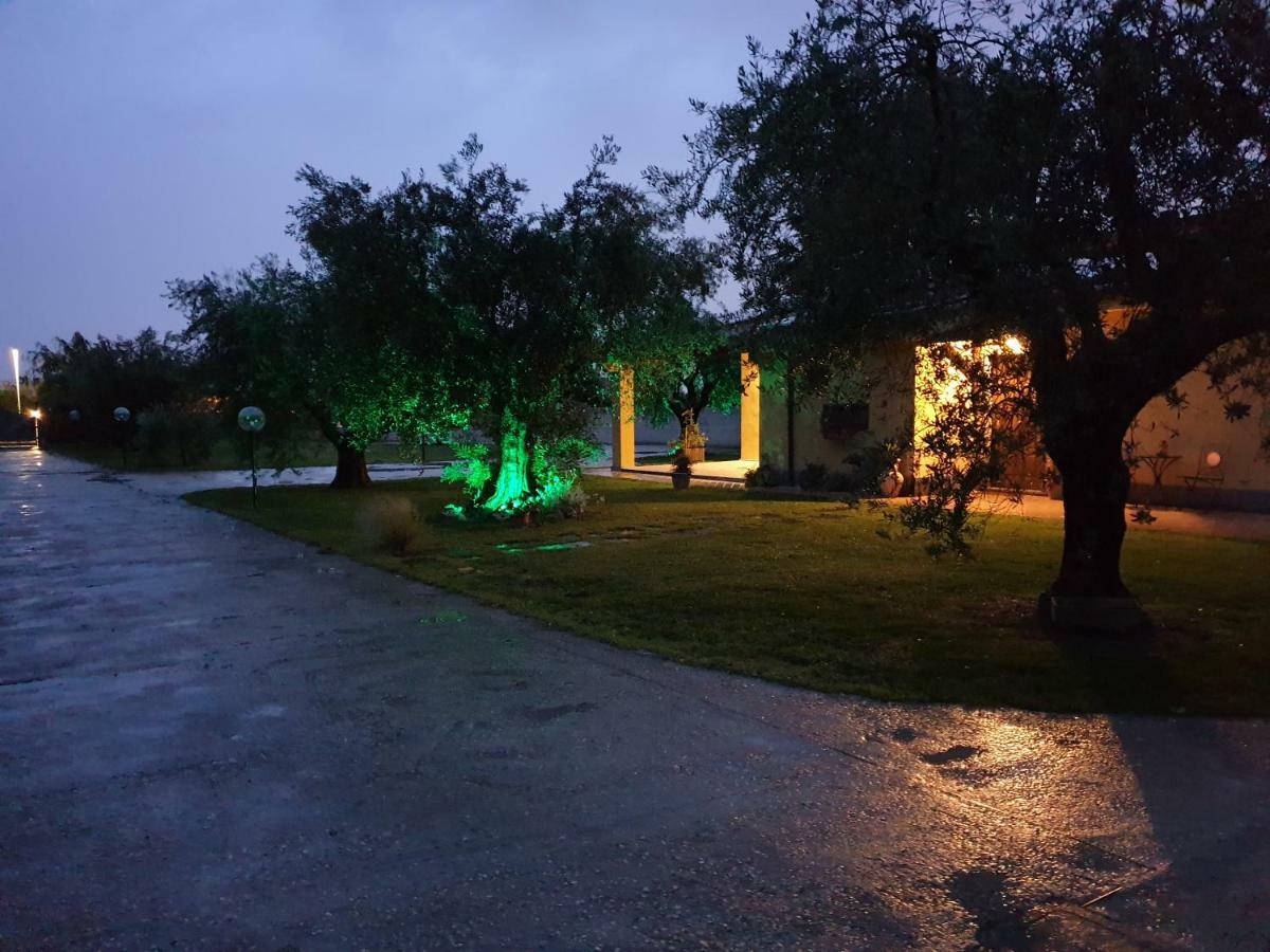 L'Antico Vigneto Marino Exterior foto